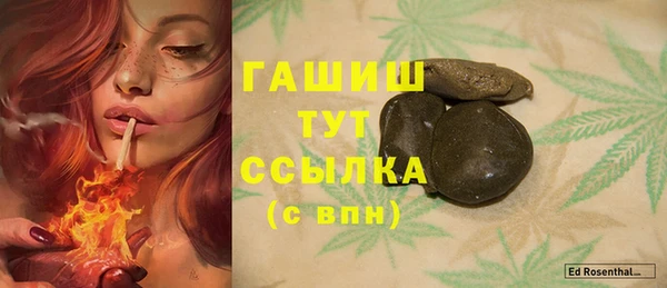 apvp Белокуриха
