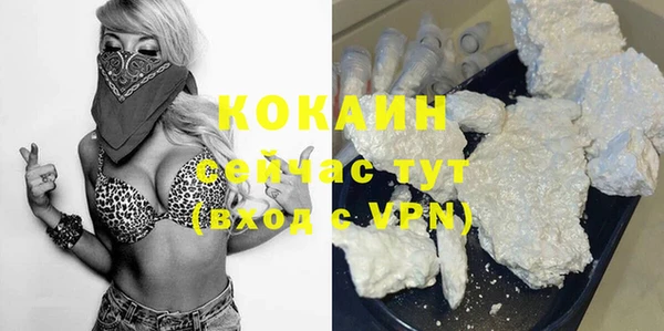 apvp Белокуриха