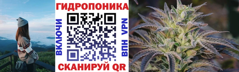Каннабис Amnesia  ОМГ ОМГ ССЫЛКА  Короча 